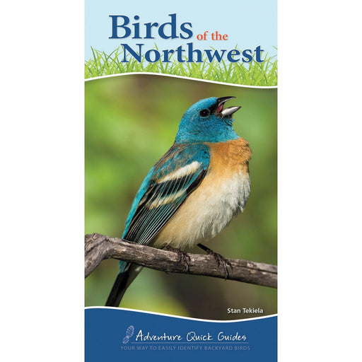 Birds of Northwest Quick Guide