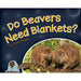 Do Beavers Need Blankets?