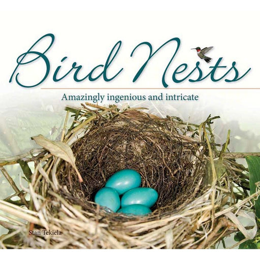 Bird Nests