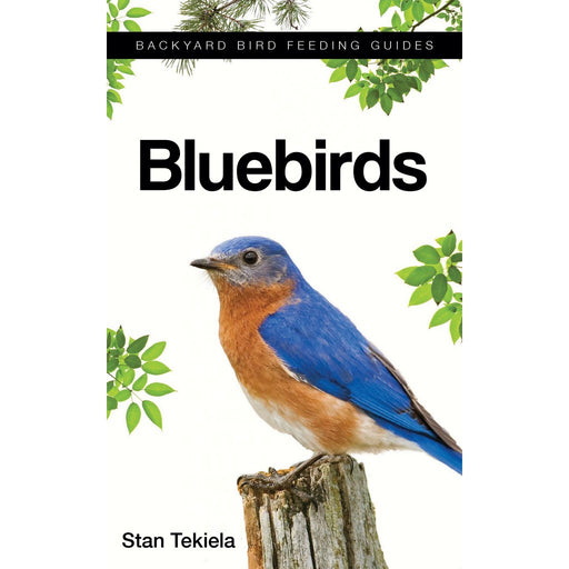 Bluebirds