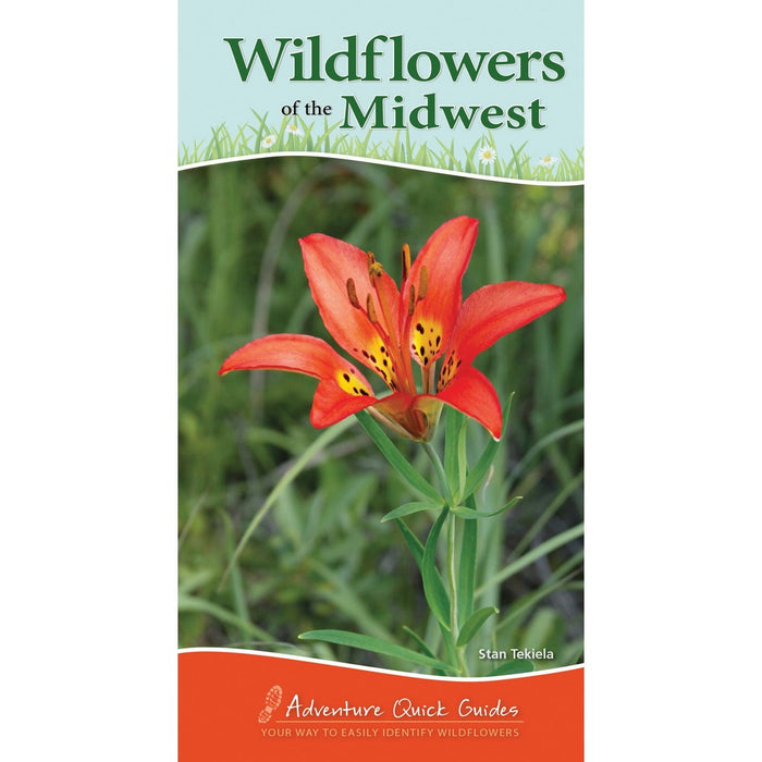 Wildflowers of Midwest Quick Guide