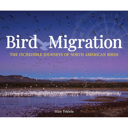 Bird Migration