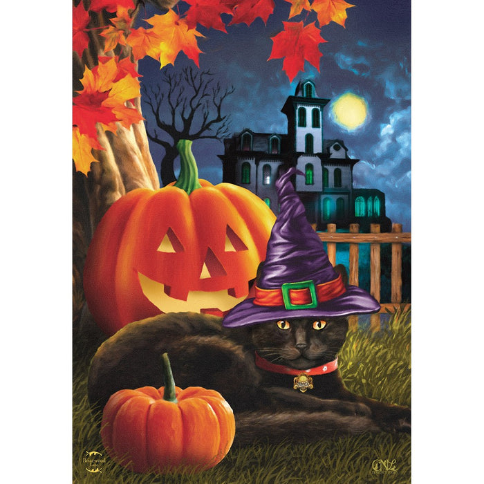 Black Cat Halloween House Flag