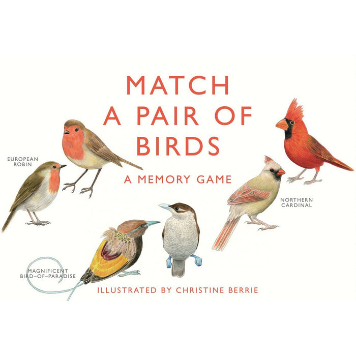 Match a Pair of Birds Memory Game