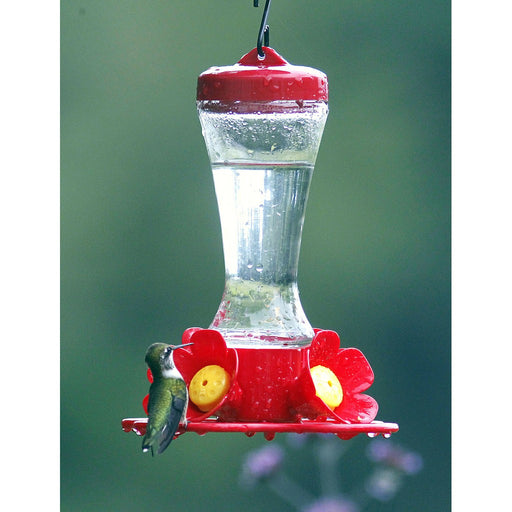 Impatiens Glass Hummingbird Feeder