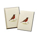 American Robin Notecards