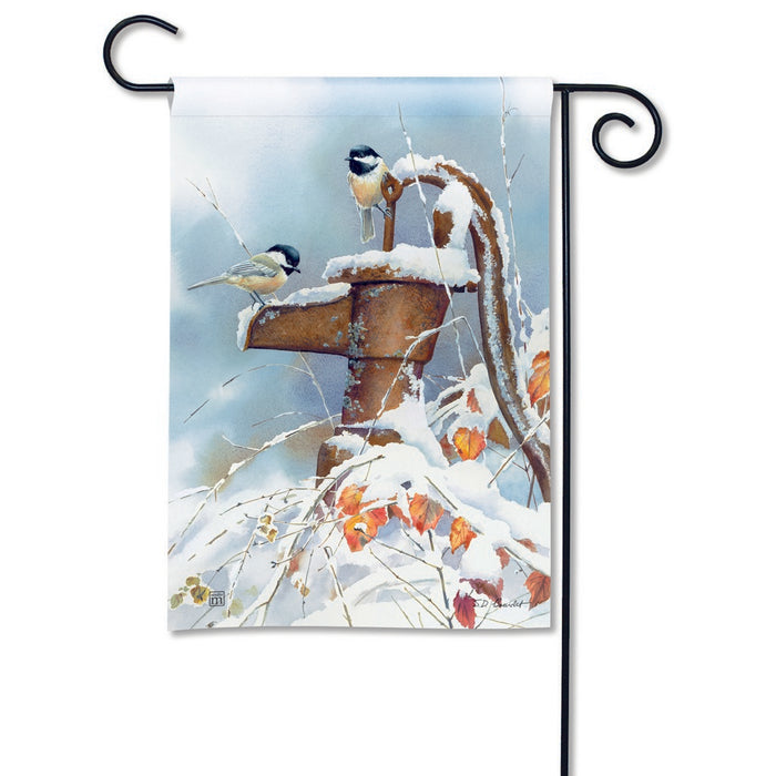 Frozen Pump Garden Flag