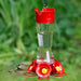 Large Pinch Waist Hummingbird Feeder (must order in 4's)