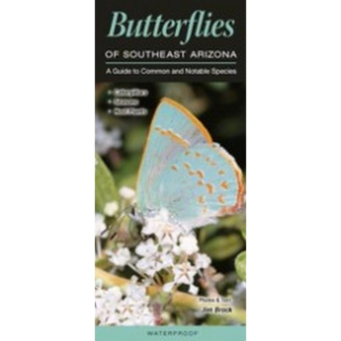 Butterflies of Southeast Arizona by Jim Brock