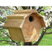 Carolina Wren House All Purpose