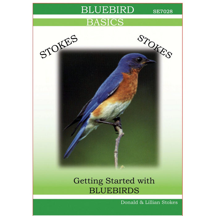 Stokes Bluebird DVD Video