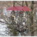 Suet & Seed Ball Feeder Red Roof