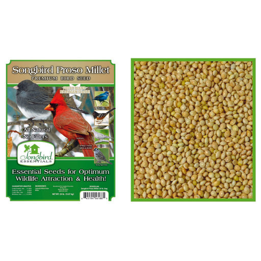 SONGBIRD PROSO MILLET, 5 LB + FREIGHT